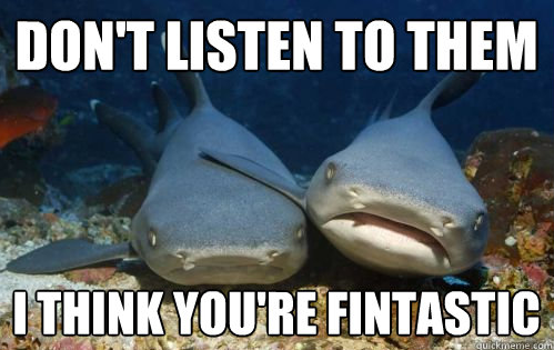image tagged in funny,animals