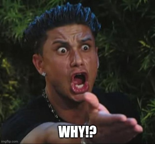 DJ Pauly D Meme | WHY!? | image tagged in memes,dj pauly d | made w/ Imgflip meme maker