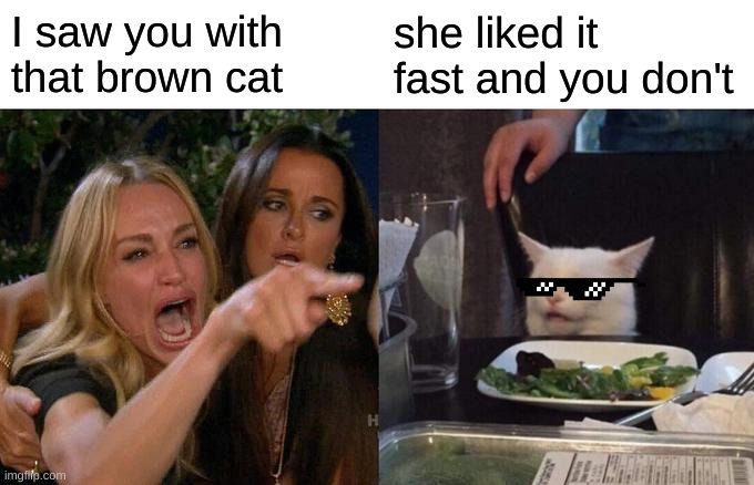 Woman Yelling At Cat | I saw you with that brown cat; she liked it fast and you don't | image tagged in memes,woman yelling at cat | made w/ Imgflip meme maker