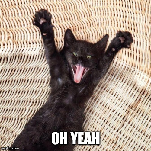 Happy cat  | OH YEAH | image tagged in happy cat | made w/ Imgflip meme maker