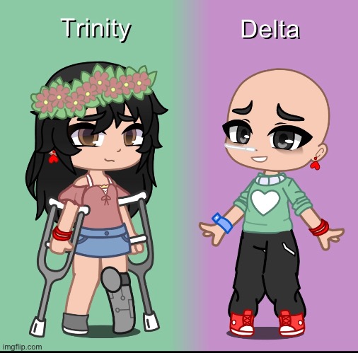 Two of my OC’s, Trinity and Delta! Delta has cancer and Trinity has a prosthetic leg. | made w/ Imgflip meme maker
