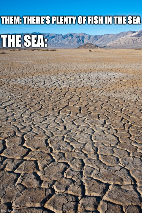 D'em hoes | THE SEA:; THEM: THERE'S PLENTY OF FISH IN THE SEA | image tagged in dry lake bed | made w/ Imgflip meme maker