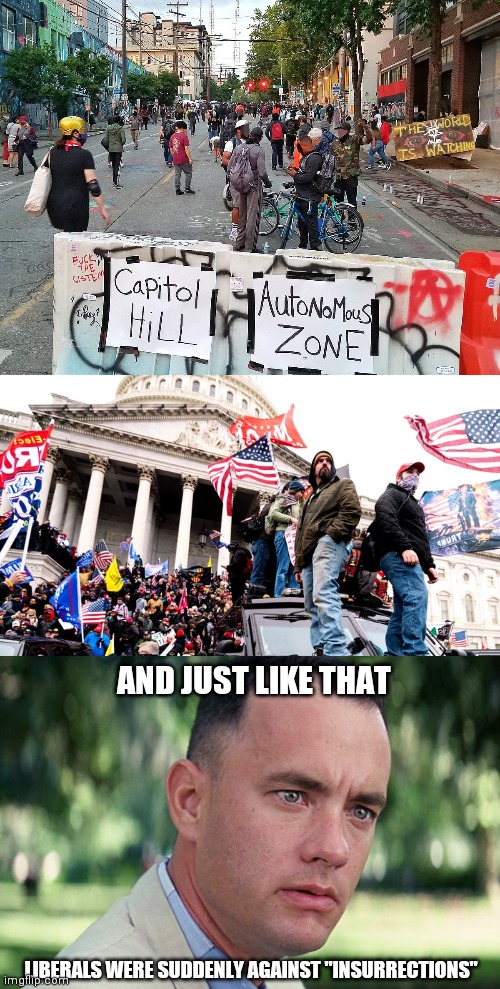 AND JUST LIKE THAT; LIBERALS WERE SUDDENLY AGAINST "INSURRECTIONS" | image tagged in chaz,capitol riot,memes,and just like that | made w/ Imgflip meme maker
