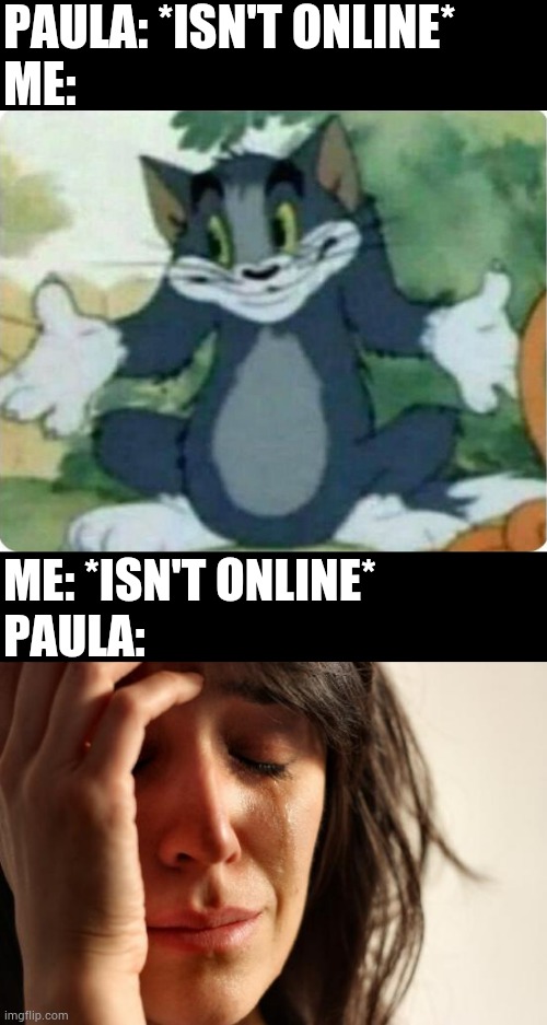 PAULA: *ISN'T ONLINE*
ME:; ME: *ISN'T ONLINE*
PAULA: | image tagged in tom shrugging,memes,first world problems | made w/ Imgflip meme maker