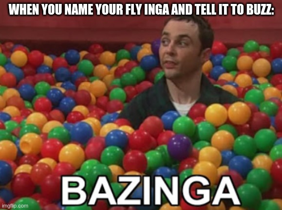 bazinga | WHEN YOU NAME YOUR FLY INGA AND TELL IT TO BUZZ: | image tagged in bazinga | made w/ Imgflip meme maker