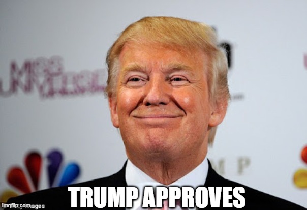 Donald trump approves | TRUMP APPROVES | image tagged in donald trump approves | made w/ Imgflip meme maker