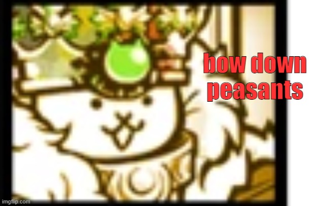 BOW DOWN TO THE KING ALL HAI; KING CAT | made w/ Imgflip meme maker