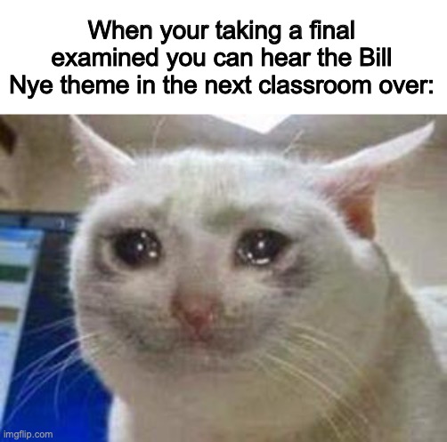 true sadness | When your taking a final examined you can hear the Bill Nye theme in the next classroom over: | image tagged in sad cat,sad,bruh,school,bill nye | made w/ Imgflip meme maker