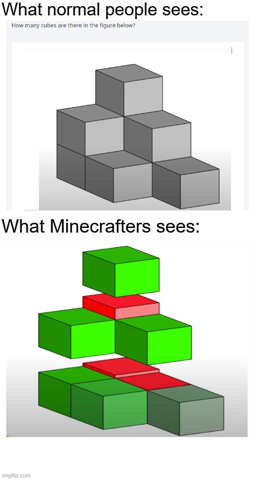 This appeared in my math quiz lol | What normal people sees:; What Minecrafters sees: | image tagged in blank white template | made w/ Imgflip meme maker