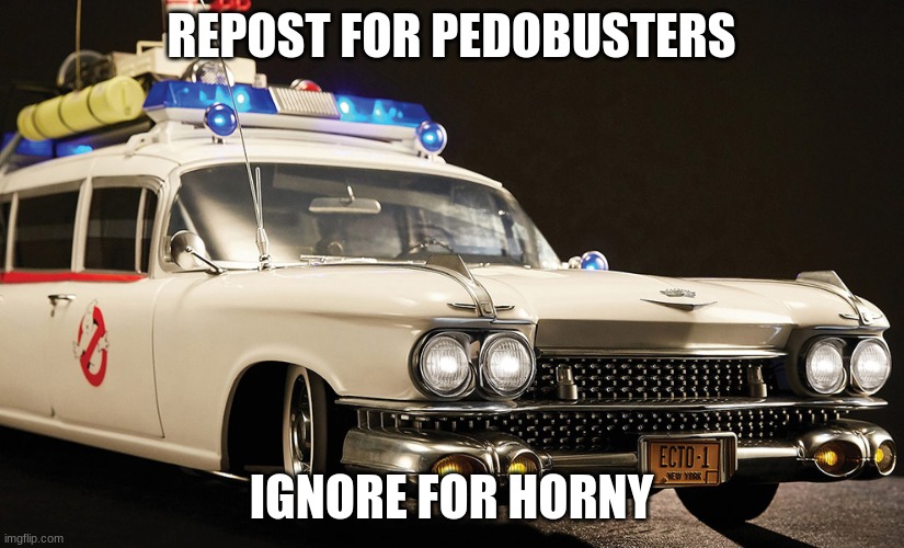 Ecto | REPOST FOR PEDOBUSTERS; IGNORE FOR HORNY | image tagged in ecto | made w/ Imgflip meme maker