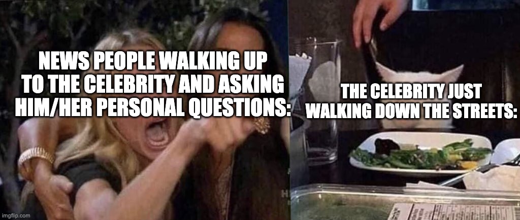 True maybe? | NEWS PEOPLE WALKING UP TO THE CELEBRITY AND ASKING HIM/HER PERSONAL QUESTIONS:; THE CELEBRITY JUST WALKING DOWN THE STREETS: | image tagged in woman yelling at cat,true,news people are annoying,stop reading these tags | made w/ Imgflip meme maker