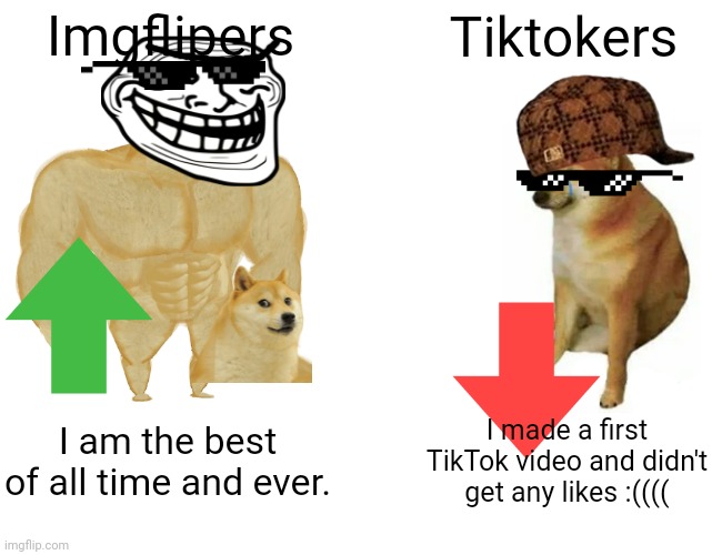Stop with the tiktoks | Imgflipers; Tiktokers; I am the best of all time and ever. I made a first TikTok video and didn't get any likes :(((( | image tagged in memes,buff doge vs cheems,tiktok sucks,tik tok sucks | made w/ Imgflip meme maker
