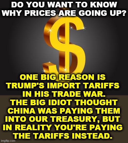 Trump never understood that. He genuinely never figured out who pays import tariffs. | DO YOU WANT TO KNOW WHY PRICES ARE GOING UP? ONE BIG REASON IS 
TRUMP'S IMPORT TARIFFS 
IN HIS TRADE WAR. THE BIG IDIOT THOUGHT CHINA WAS PAYING THEM INTO OUR TREASURY, BUT 
IN REALITY YOU'RE PAYING 
THE TARIFFS INSTEAD. | image tagged in dollar sign,trump,tariffs,idiot | made w/ Imgflip meme maker