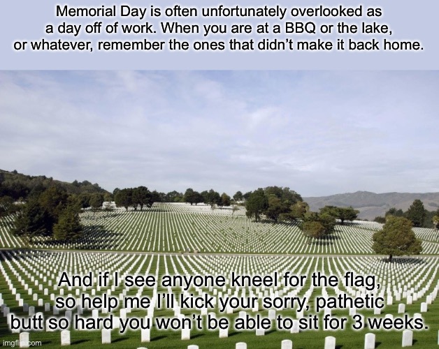 Remember the fallen | Memorial Day is often unfortunately overlooked as a day off of work. When you are at a BBQ or the lake, or whatever, remember the ones that didn’t make it back home. And if I see anyone kneel for the flag, so help me I’ll kick your sorry, pathetic butt so hard you won’t be able to sit for 3 weeks. | image tagged in arlington national cemetery,memorial day,politics,america | made w/ Imgflip meme maker