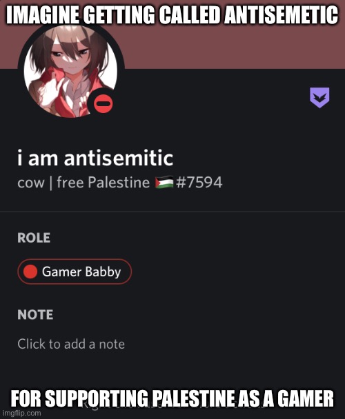Antigamers be like | IMAGINE GETTING CALLED ANTISEMETIC; FOR SUPPORTING PALESTINE AS A GAMER | image tagged in bvgh | made w/ Imgflip meme maker
