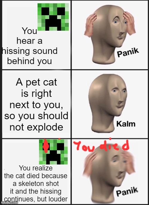 Panik Kalm Panik | You hear a hissing sound behind you; A pet cat is right next to you, so you should not explode; You realize the cat died because a skeleton shot it and the hissing continues, but louder | image tagged in memes,panik kalm panik | made w/ Imgflip meme maker