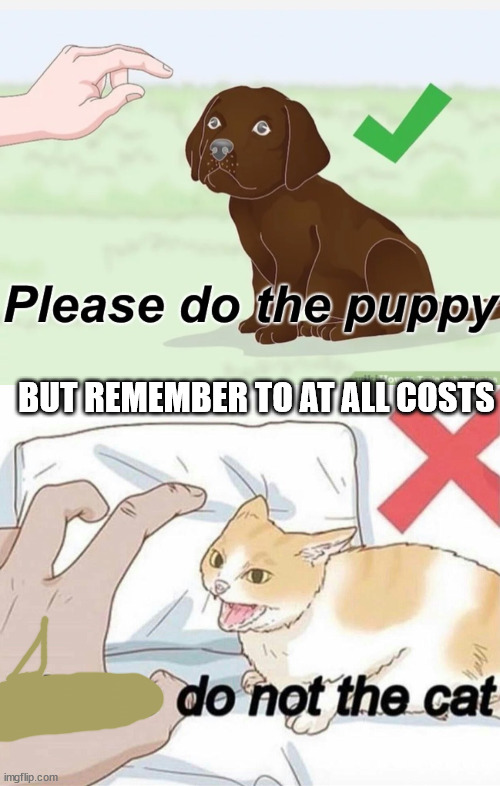 BUT REMEMBER TO AT ALL COSTS | image tagged in please do the puppy,please do not the cat | made w/ Imgflip meme maker