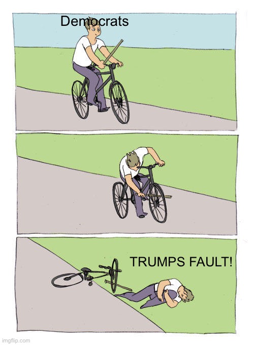 Bike Fall Meme | Democrats; TRUMPS FAULT! | image tagged in memes,bike fall | made w/ Imgflip meme maker