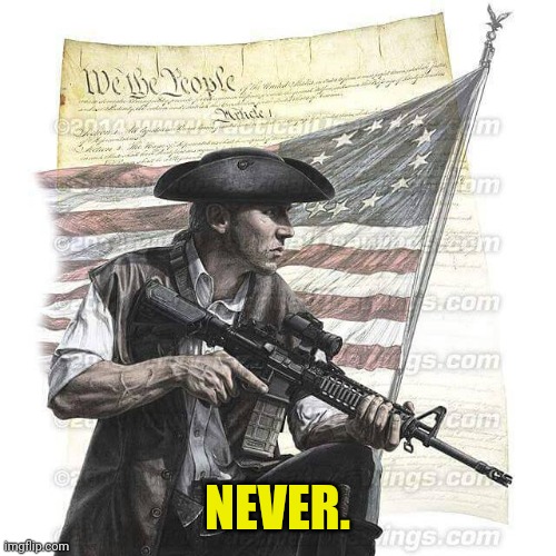 American Patriot | NEVER. | image tagged in american patriot | made w/ Imgflip meme maker