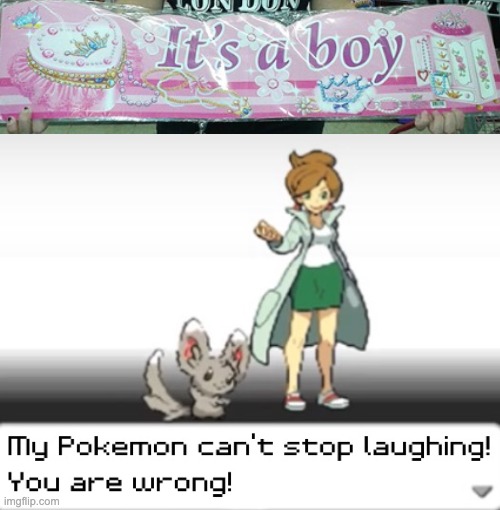erm... well that would be awkward to show at a baby shower | image tagged in my pokemon can't stop laughing you are wrong | made w/ Imgflip meme maker