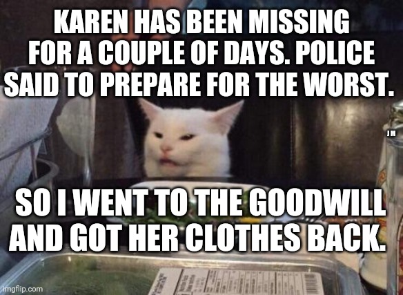 Salad cat | KAREN HAS BEEN MISSING FOR A COUPLE OF DAYS. POLICE SAID TO PREPARE FOR THE WORST. J M; SO I WENT TO THE GOODWILL AND GOT HER CLOTHES BACK. | image tagged in salad cat | made w/ Imgflip meme maker