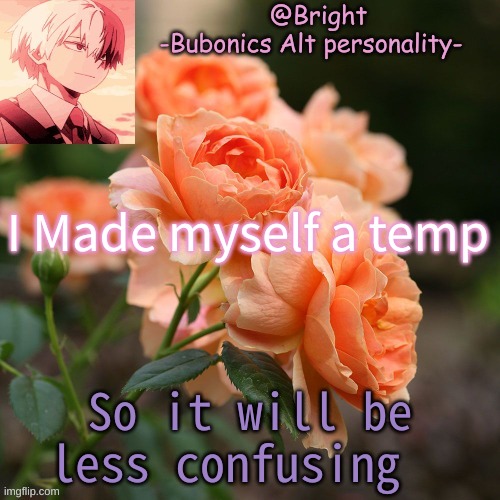 I Made myself a temp; So it will be less confusing | image tagged in a tempo for bright d | made w/ Imgflip meme maker