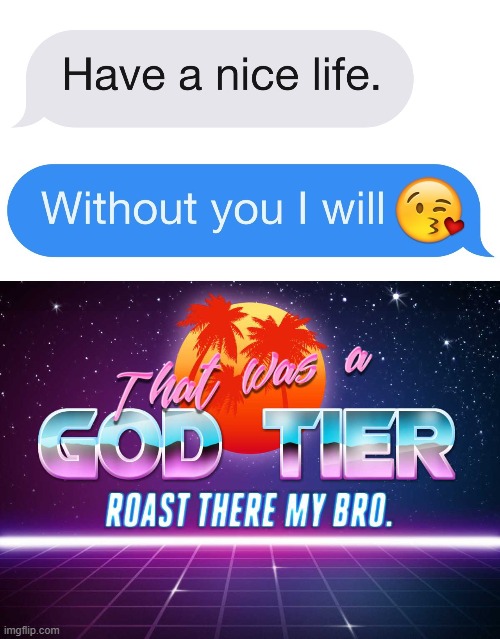 image tagged in that was a god tier roast my bro,texts,funny texts | made w/ Imgflip meme maker