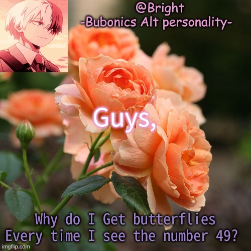 I'm So confused H E L P | Guys, Why do I Get butterflies Every time I see the number 49? | image tagged in a tempo for bright d | made w/ Imgflip meme maker