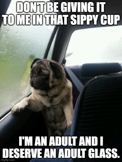 Introspective Pug wants choccy milk | DON'T BE GIVING IT TO ME IN THAT SIPPY CUP; I'M AN ADULT AND I DESERVE AN ADULT GLASS. | image tagged in introspective pug,athf,aqua teen hunger force,aqua teen,dogs,adult swim | made w/ Imgflip meme maker