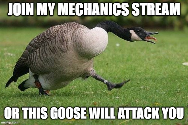 Angry Canada Goose | JOIN MY MECHANICS STREAM; OR THIS GOOSE WILL ATTACK YOU | image tagged in angry canada goose | made w/ Imgflip meme maker