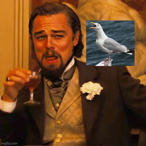 Leo Laughing | image tagged in leo laughing | made w/ Imgflip meme maker