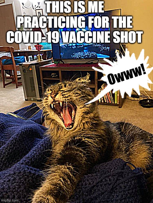 I HATE needles! | THIS IS ME PRACTICING FOR THE COVID-19 VACCINE SHOT; Owww! | image tagged in covid-19,vaccination | made w/ Imgflip meme maker