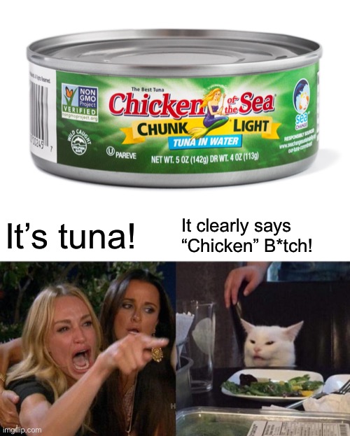 chicken or tuna? | It’s tuna! It clearly says 
“Chicken” B*tch! | image tagged in memes,woman yelling at cat | made w/ Imgflip meme maker