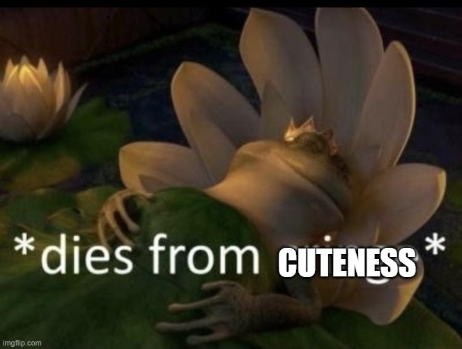 Dies from cringe | CUTENESS | image tagged in dies from cringe | made w/ Imgflip meme maker