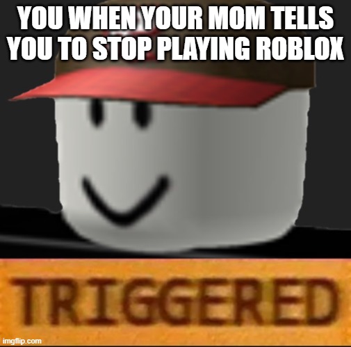 twiggered | YOU WHEN YOUR MOM TELLS YOU TO STOP PLAYING ROBLOX | image tagged in roblox triggered | made w/ Imgflip meme maker