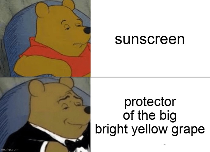 Tuxedo Winnie The Pooh | sunscreen; protector of the big bright yellow grape | image tagged in memes,tuxedo winnie the pooh | made w/ Imgflip meme maker