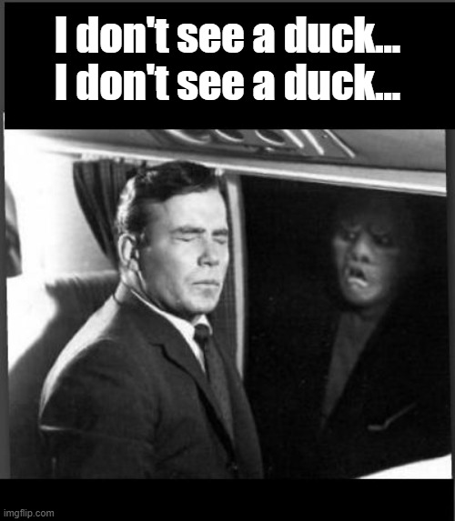 Shatner Twilight Zone something on the wing  | I don't see a duck...
I don't see a duck... | image tagged in shatner twilight zone something on the wing | made w/ Imgflip meme maker