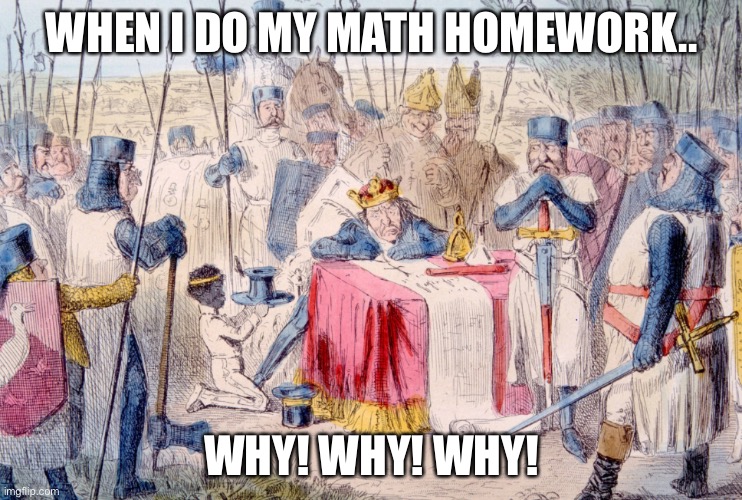 Whyyyyyyyy | WHEN I DO MY MATH HOMEWORK.. WHY! WHY! WHY! | image tagged in fun,lol,homework | made w/ Imgflip meme maker