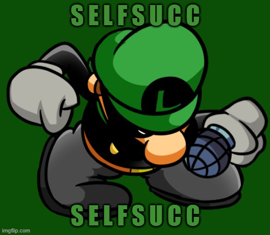 self succ | S E L F S U C C S E L F S U C C | image tagged in self succ | made w/ Imgflip meme maker