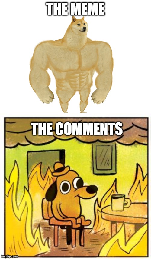 Meme vs comment section | THE MEME; THE COMMENTS | image tagged in blank white template,memes,this is fine | made w/ Imgflip meme maker