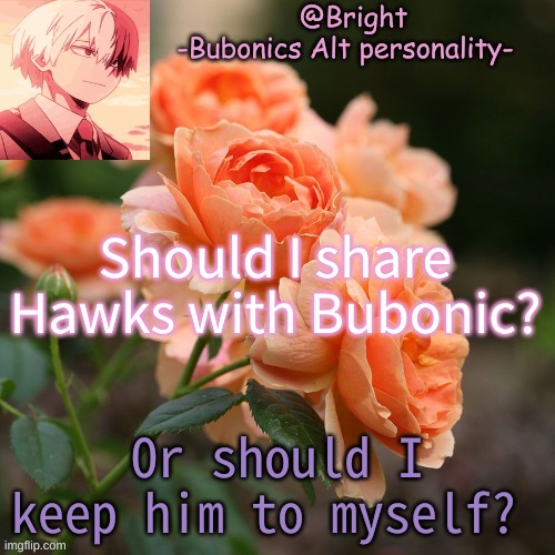She doesn't let me simp for HER guys so should i let her simp for mine? | Should I share Hawks with Bubonic? Or should I keep him to myself? | image tagged in a tempo for bright d | made w/ Imgflip meme maker