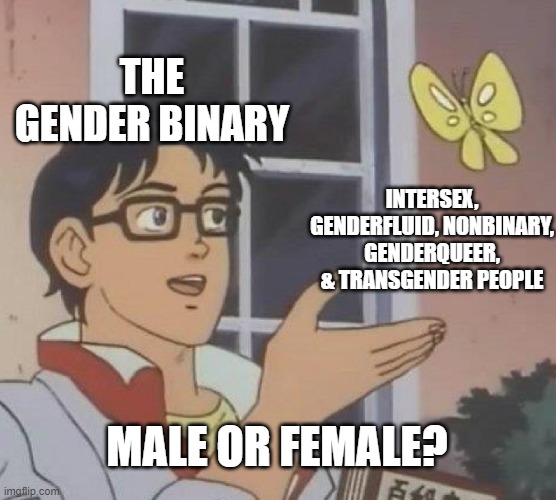 Gender Be Like | THE GENDER BINARY; INTERSEX, GENDERFLUID, NONBINARY, GENDERQUEER, & TRANSGENDER PEOPLE; MALE OR FEMALE? | image tagged in memes,is this a pigeon,gender identity,gender binary | made w/ Imgflip meme maker