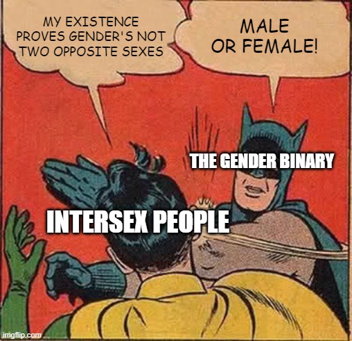 The existence of intersex people disproves the gender binary | MY EXISTENCE PROVES GENDER'S NOT TWO OPPOSITE SEXES; MALE OR FEMALE! THE GENDER BINARY; INTERSEX PEOPLE | image tagged in memes,batman slapping robin,gender,gender binary,gender identity,intersex | made w/ Imgflip meme maker