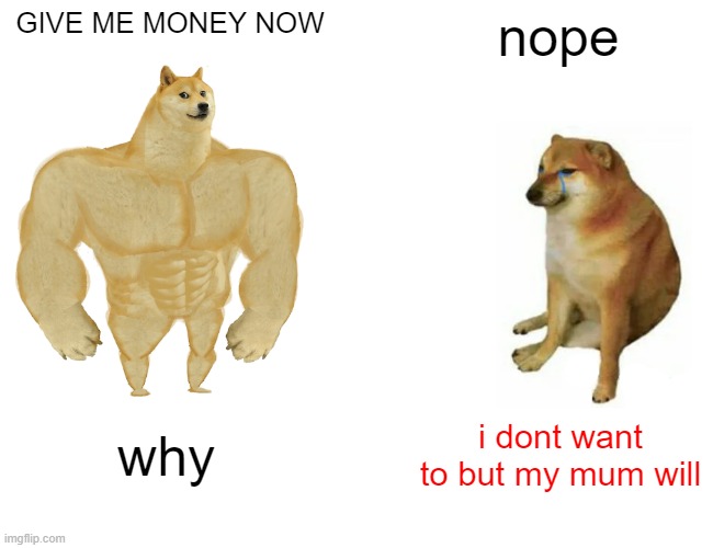 Buff Doge vs. Cheems | GIVE ME MONEY NOW; nope; why; i dont want to but my mum will | image tagged in memes,buff doge vs cheems | made w/ Imgflip meme maker