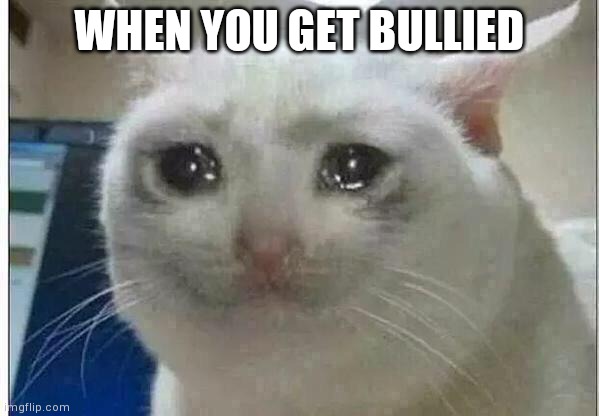 E | WHEN YOU GET BULLIED | image tagged in crying cat | made w/ Imgflip meme maker