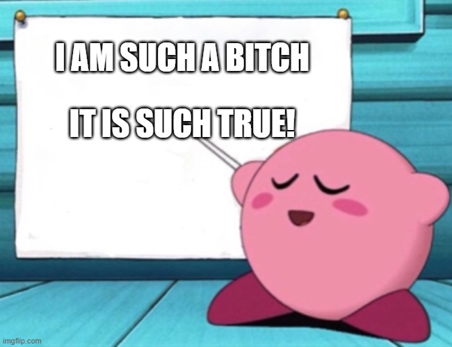Kirby Kirby Kirby | I AM SUCH A BITCH; IT IS SUCH TRUE! | image tagged in kirby's lesson | made w/ Imgflip meme maker
