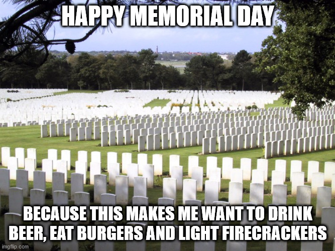 Sorry To Be A Buzzkill | HAPPY MEMORIAL DAY; BECAUSE THIS MAKES ME WANT TO DRINK BEER, EAT BURGERS AND LIGHT FIRECRACKERS | image tagged in military cemetery,memorial day,america | made w/ Imgflip meme maker