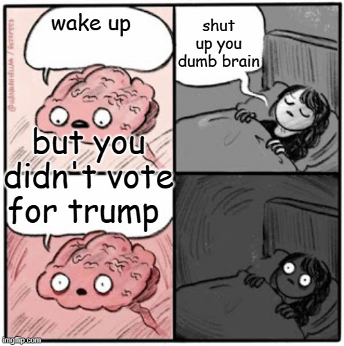 Brain Before Sleep | shut up you dumb brain; wake up; but you didn't vote for trump | image tagged in brain before sleep | made w/ Imgflip meme maker