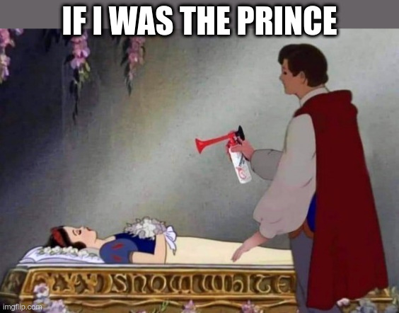 Sleeping Beauty |  IF I WAS THE PRINCE | image tagged in sleeping beauty,prince charming,air horn,funny memes | made w/ Imgflip meme maker
