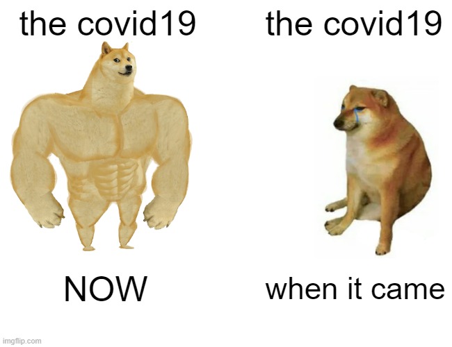 covid19 be like | the covid19; the covid19; NOW; when it came | image tagged in memes,buff doge vs cheems | made w/ Imgflip meme maker